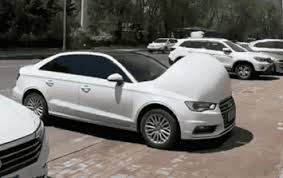 Fenômeno Inusitado na China: "Carros Grávidos" Surgem Durante Onda de Calor Extremo