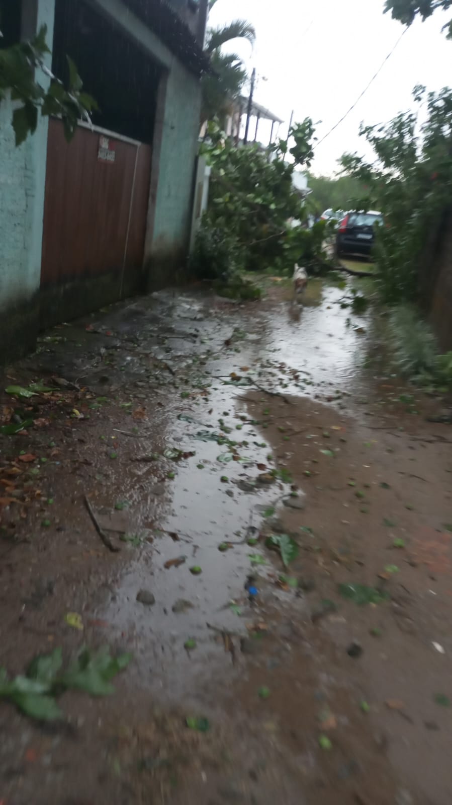 TEMPORAL: 200 residências foram atingidas em Guaratuba
