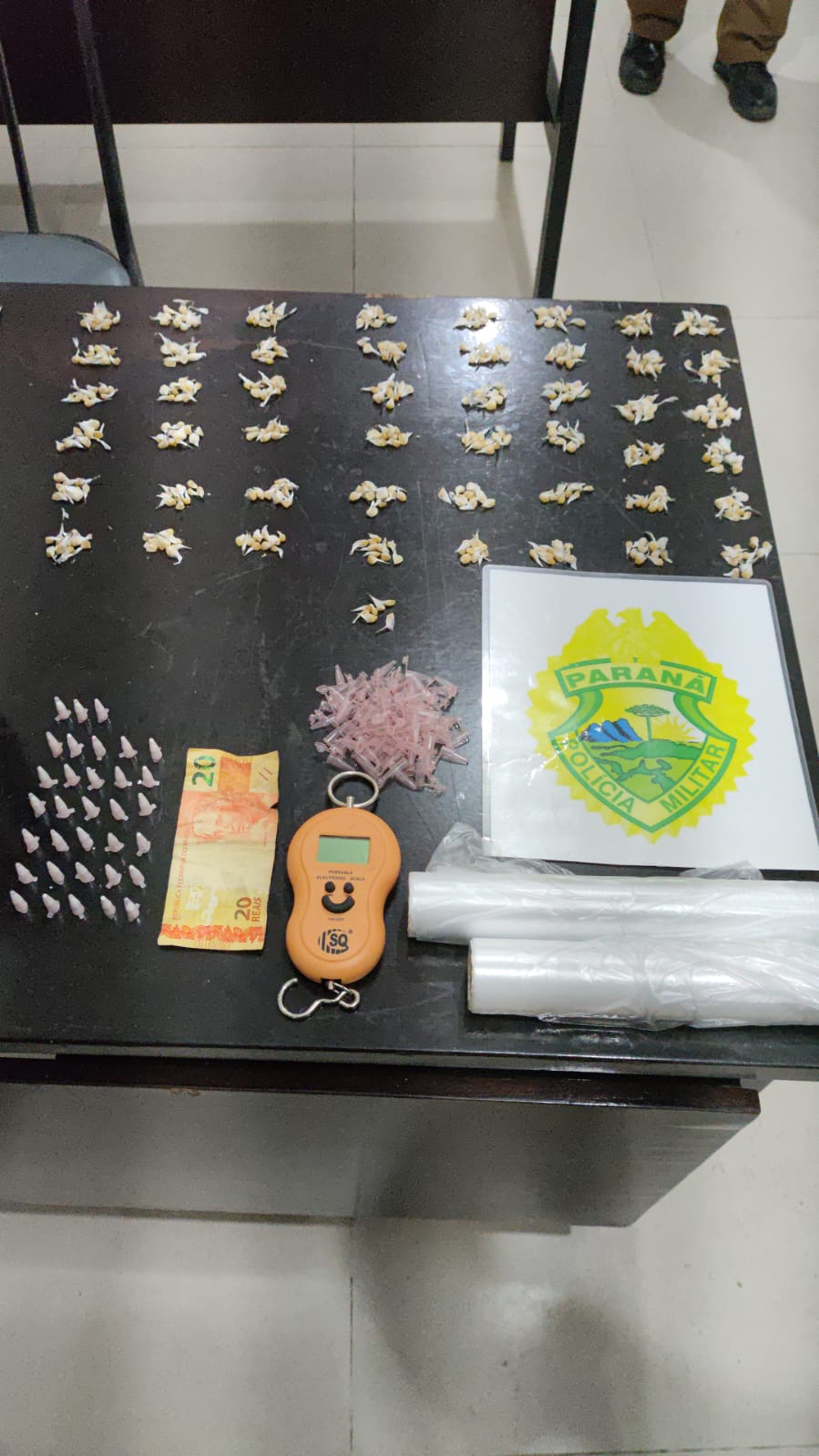 ​Polícia Militar do Paraná apreende grande quantidade de entorpecentes em Guaratuba
