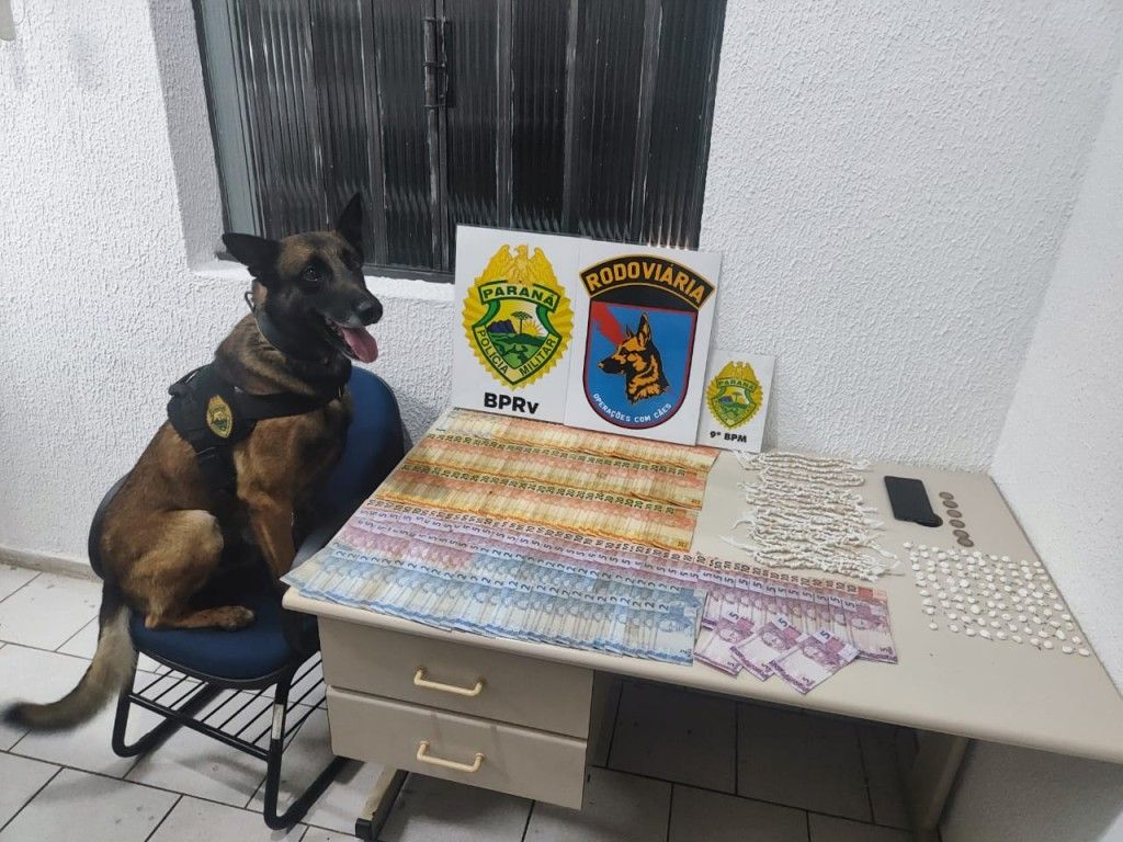 ​Cão farejador ajuda PMPR a capturar traficante com 600 pedras de crack em Guaratuba