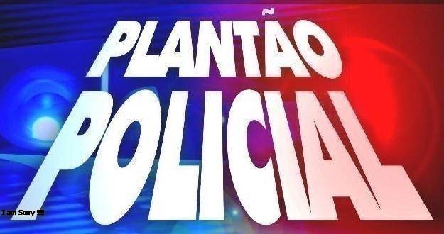 Após denúncia anônima, PM apreende quase 300 pés de maconha em Curitiba