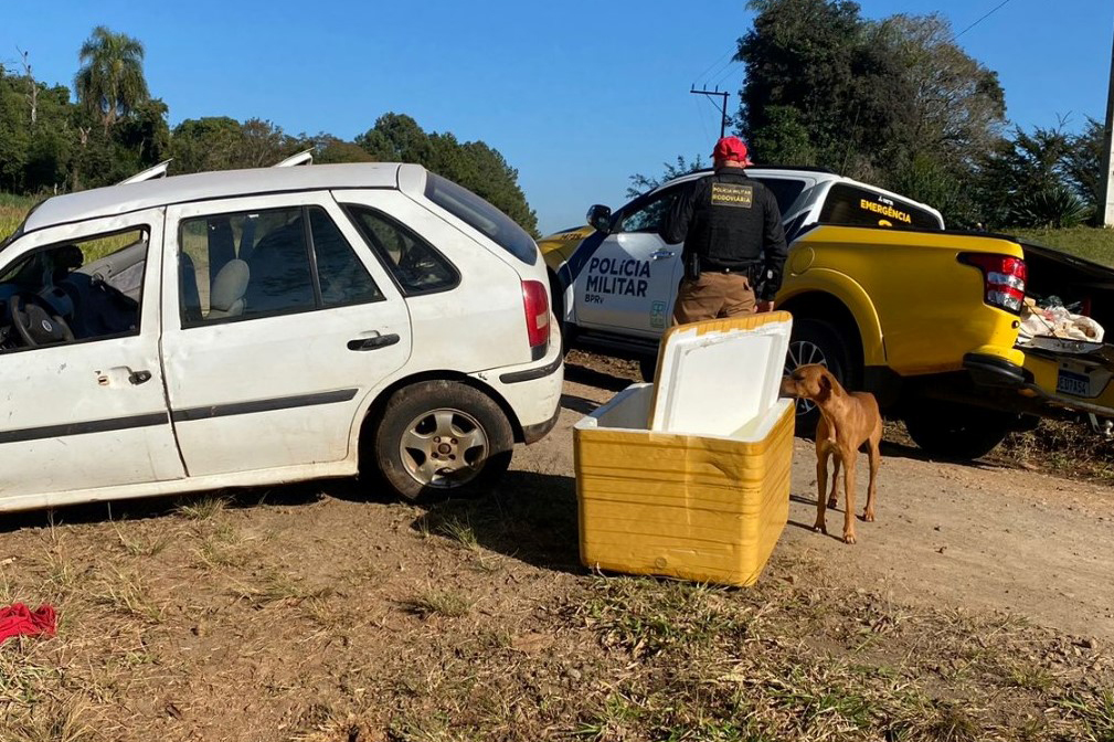 Polícia Militar apreende mais de 700 quilos de drogas em operações no Interior